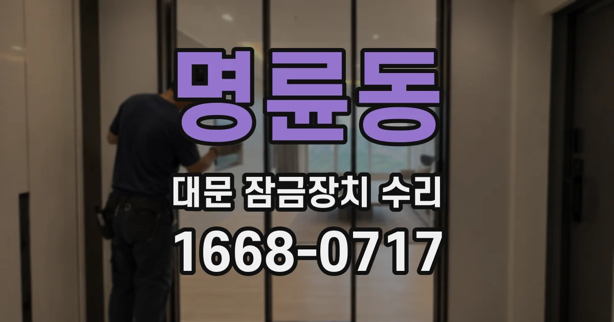 명륜동 대문 잠금장치 수리