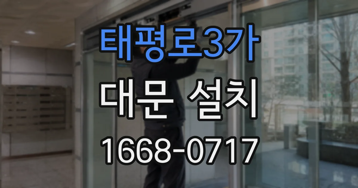 태평로3가 대문 설치