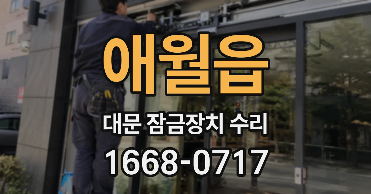 애월읍 대문 잠금장치 수리