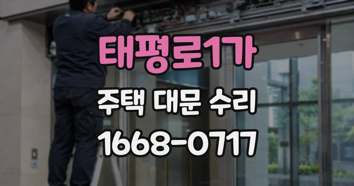 태평로1가 주택 대문 수리