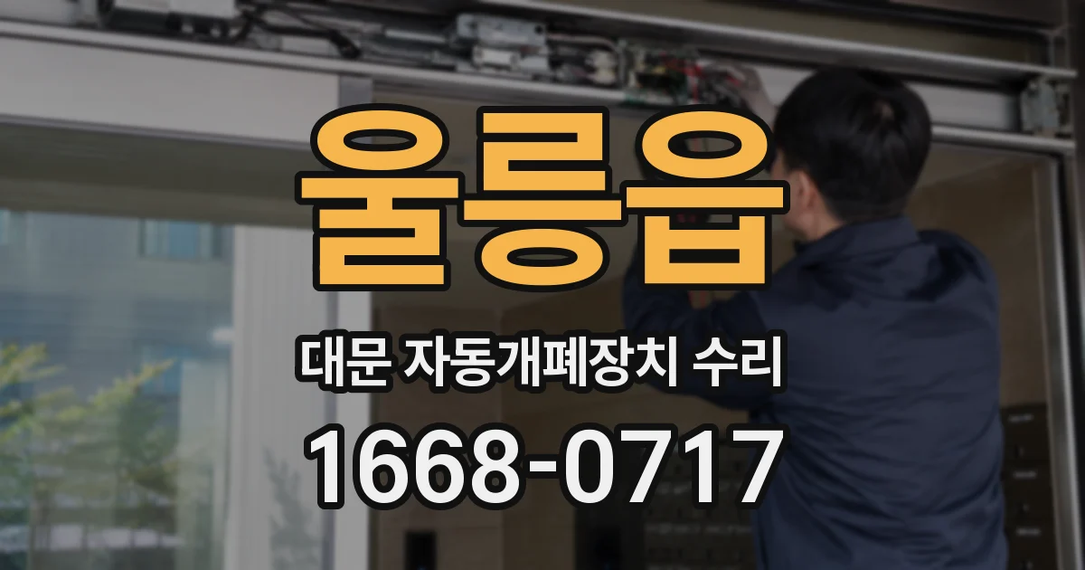 울릉읍 대문 자동개폐장치 수리