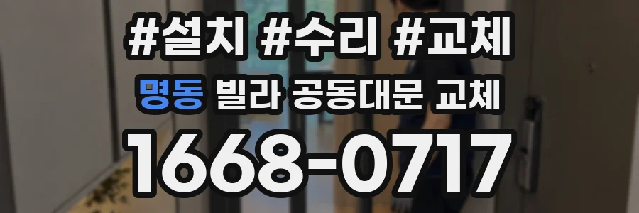 명동 빌라 공동대문 교체