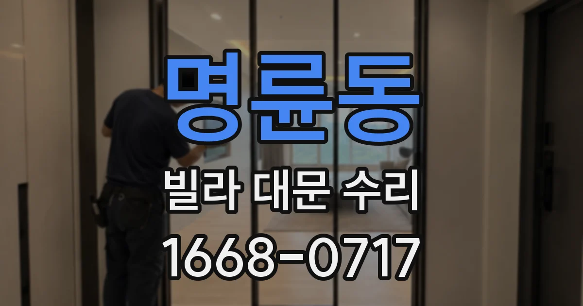 명륜동 빌라 대문 수리