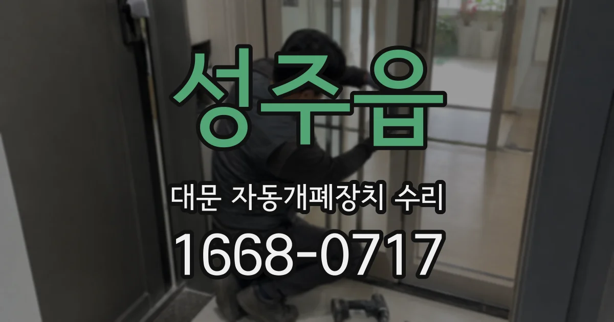 성주읍 대문 자동개폐장치 수리