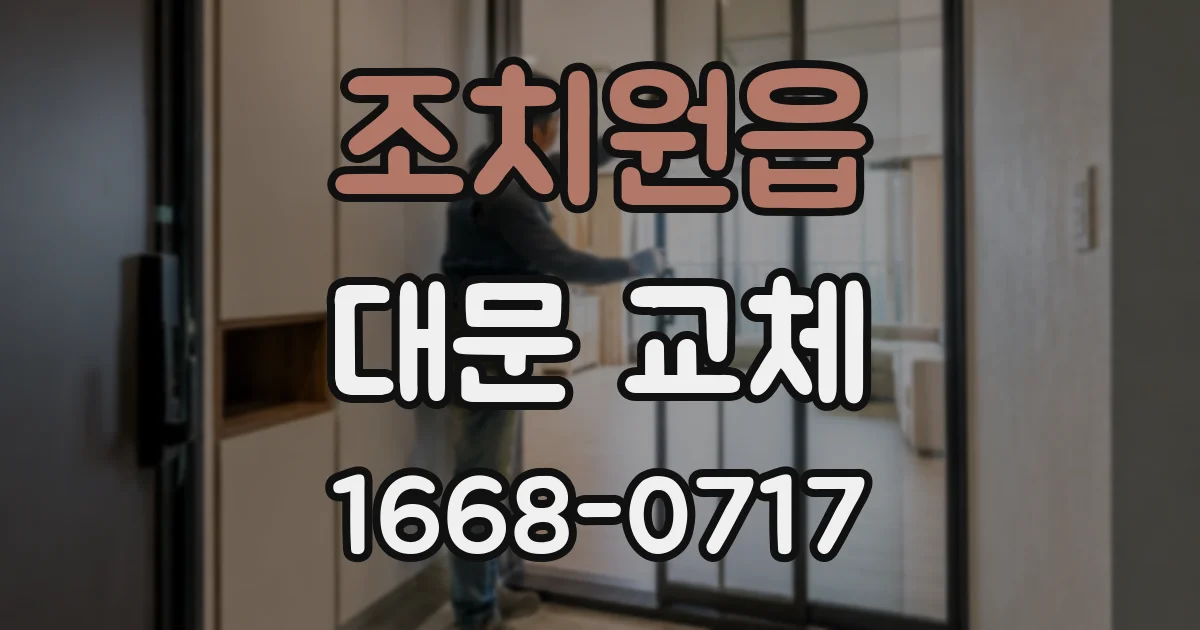 조치원읍 대문 교체