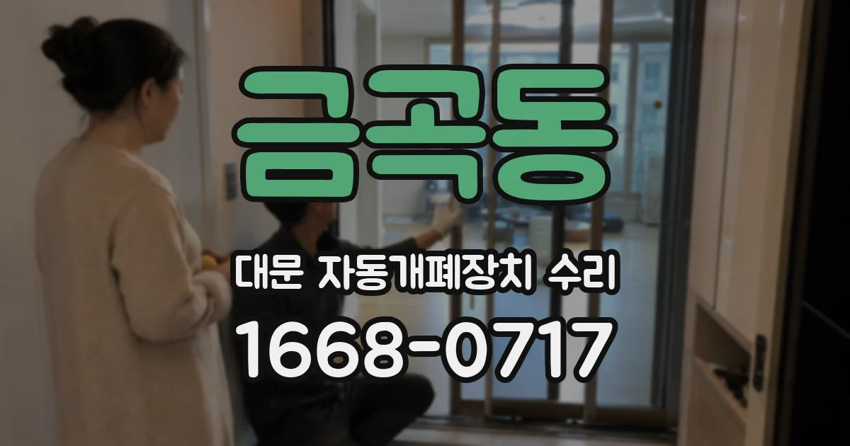 금곡동 대문 자동개폐장치 수리
