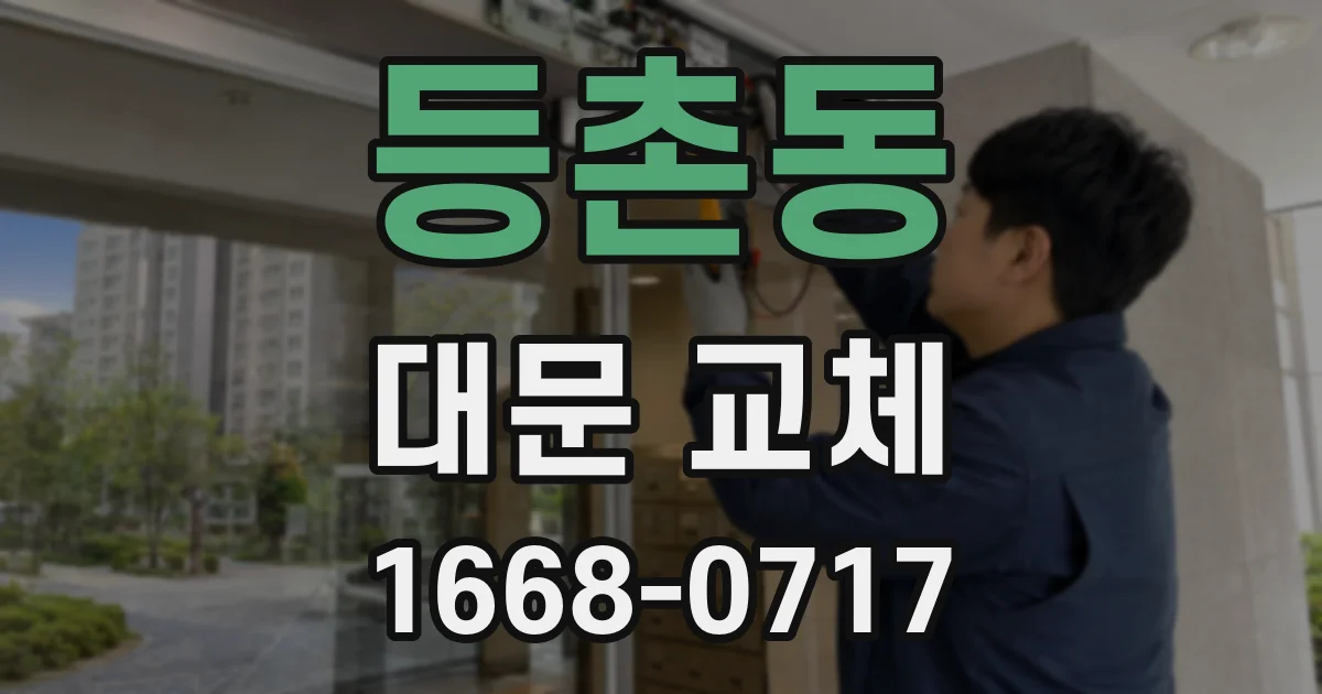 등촌동 대문 교체