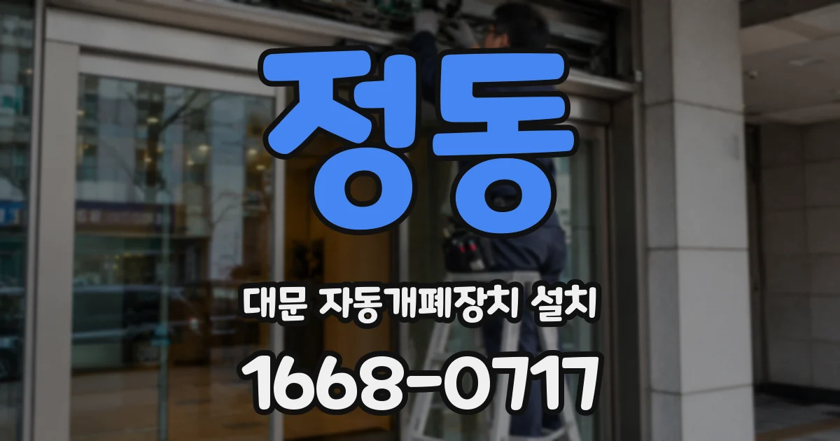정동 대문 자동개폐장치 설치