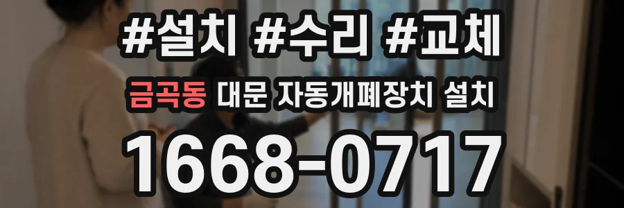 금곡동 대문 자동개폐장치 설치