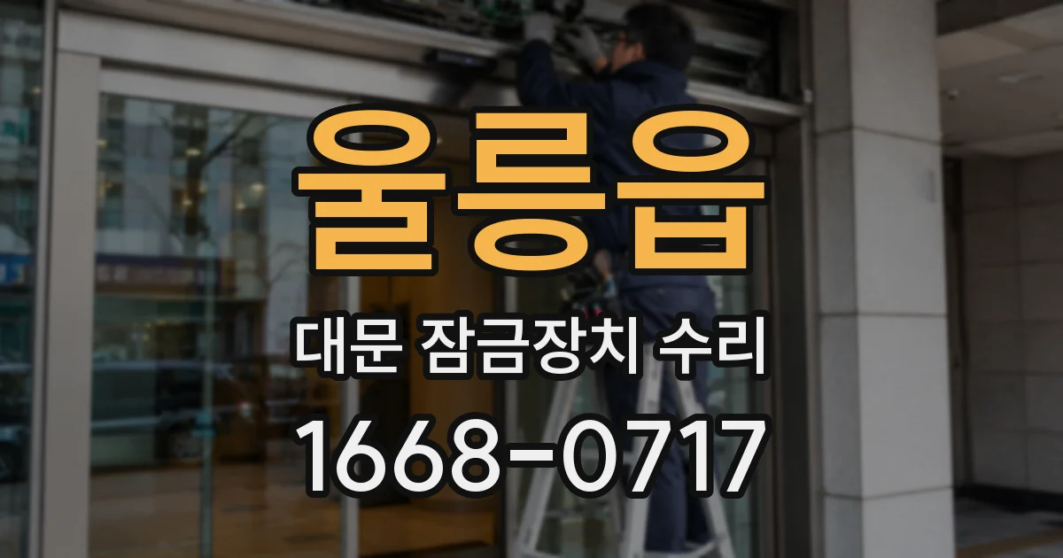 울릉읍 대문 잠금장치 수리
