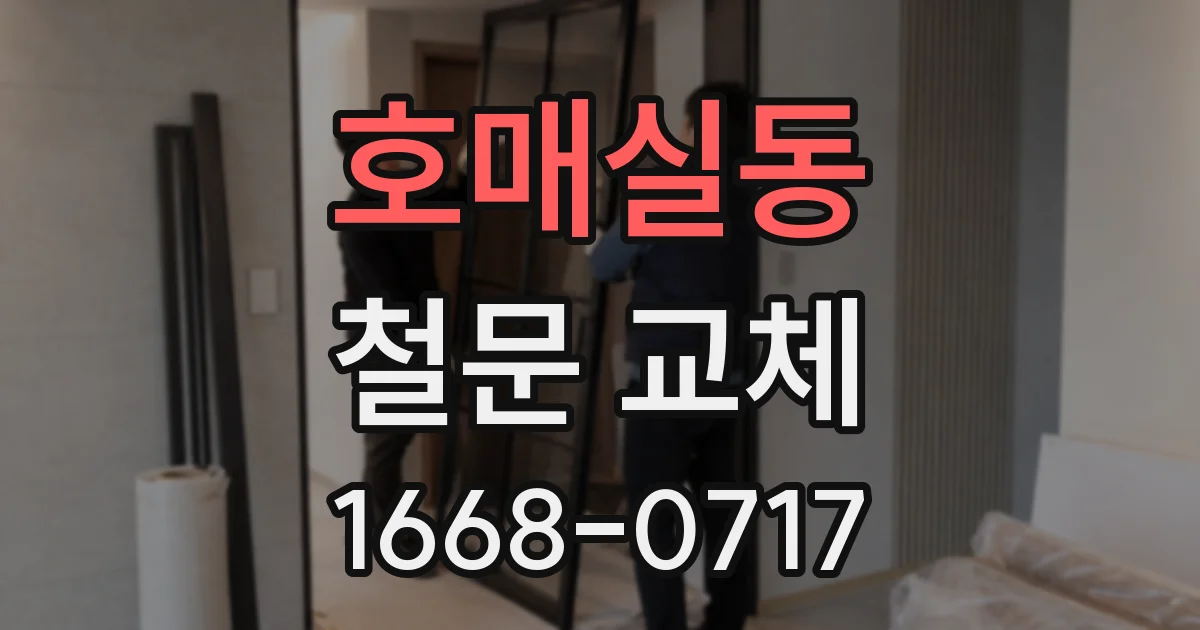 호매실동 철문 교체