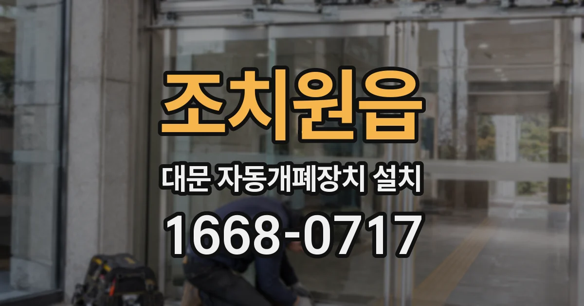 조치원읍 대문 자동개폐장치 설치