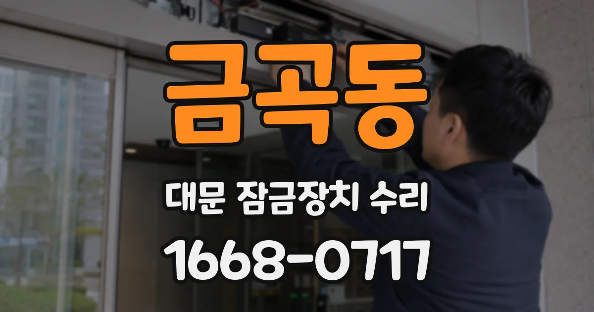 금곡동 대문 잠금장치 수리