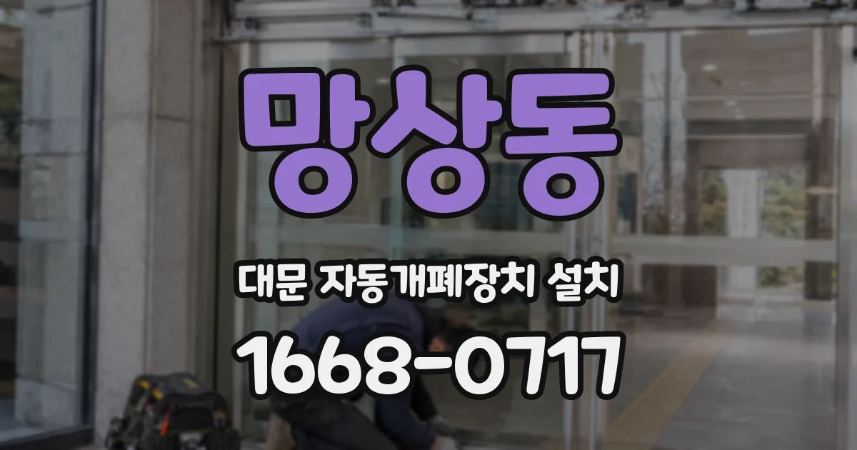 망상동 대문 자동개폐장치 설치