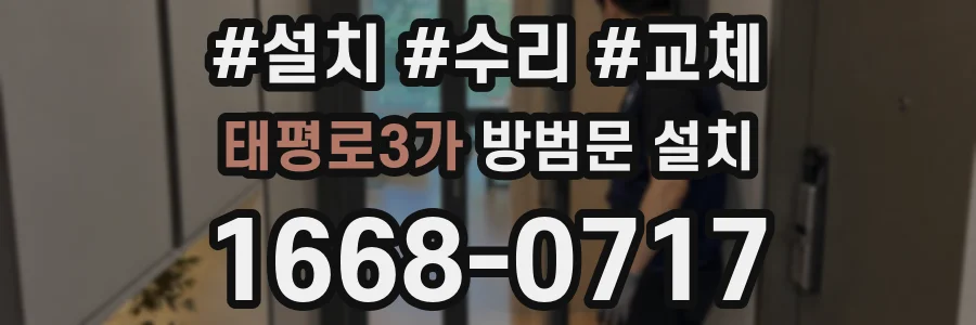 태평로3가 방범문 설치