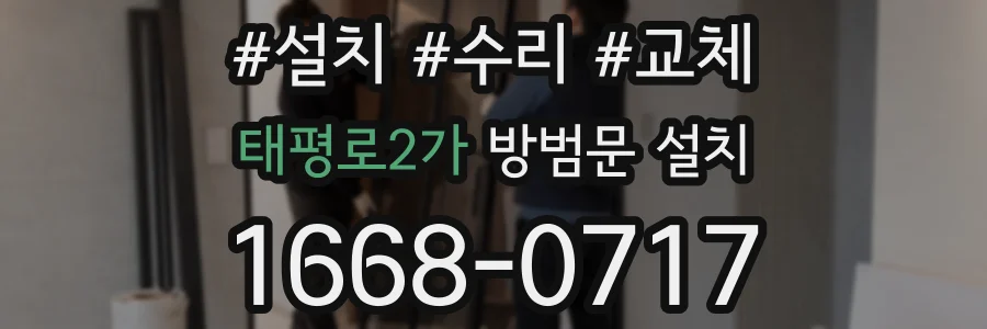 태평로2가 방범문 설치