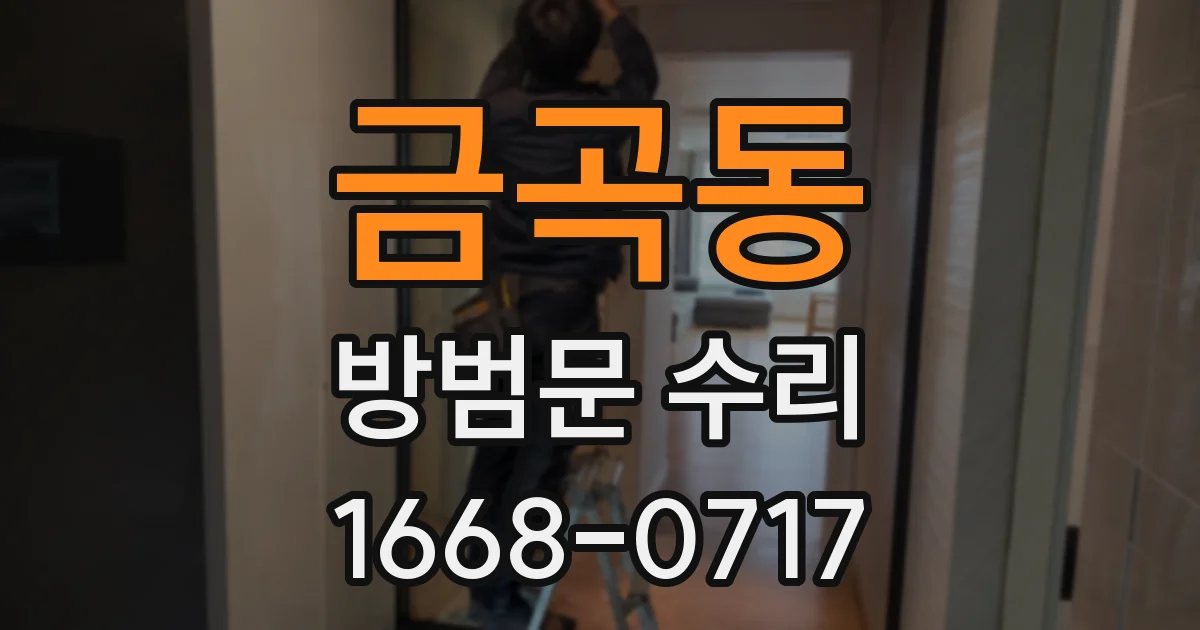 금곡동 방범문 수리