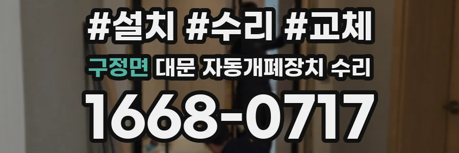 구정면 대문 자동개폐장치 수리