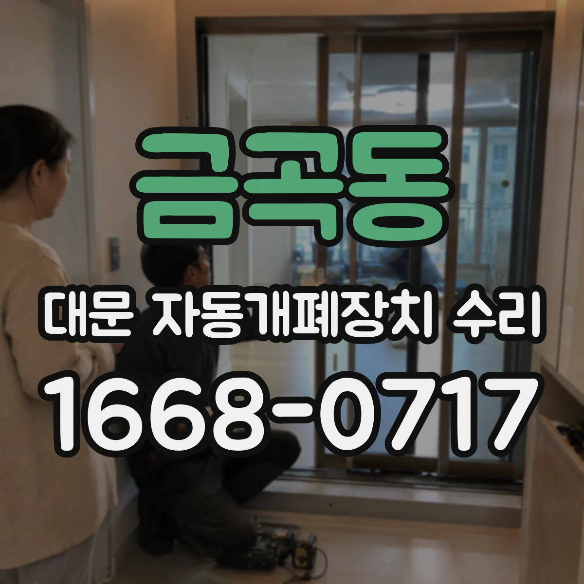 금곡동 대문 자동개폐장치 수리