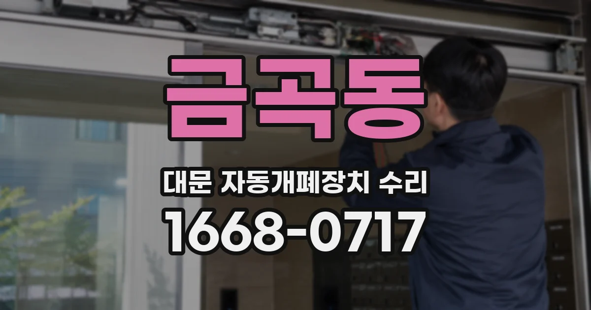 금곡동 대문 자동개폐장치 수리