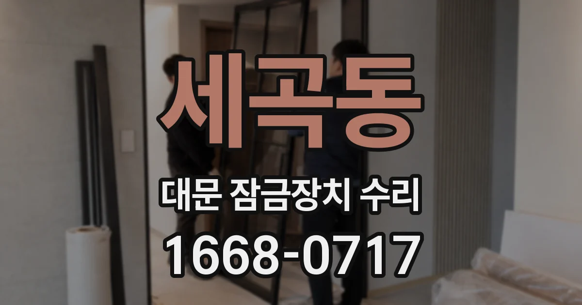 세곡동 대문 잠금장치 수리