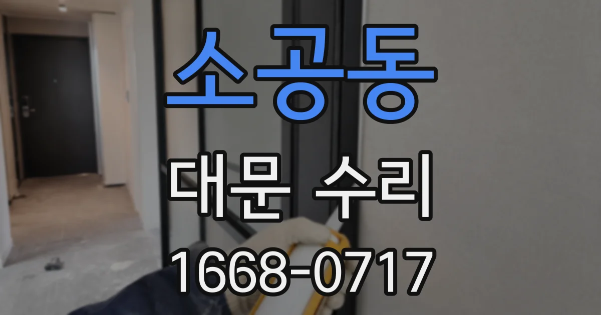 소공동 대문 수리