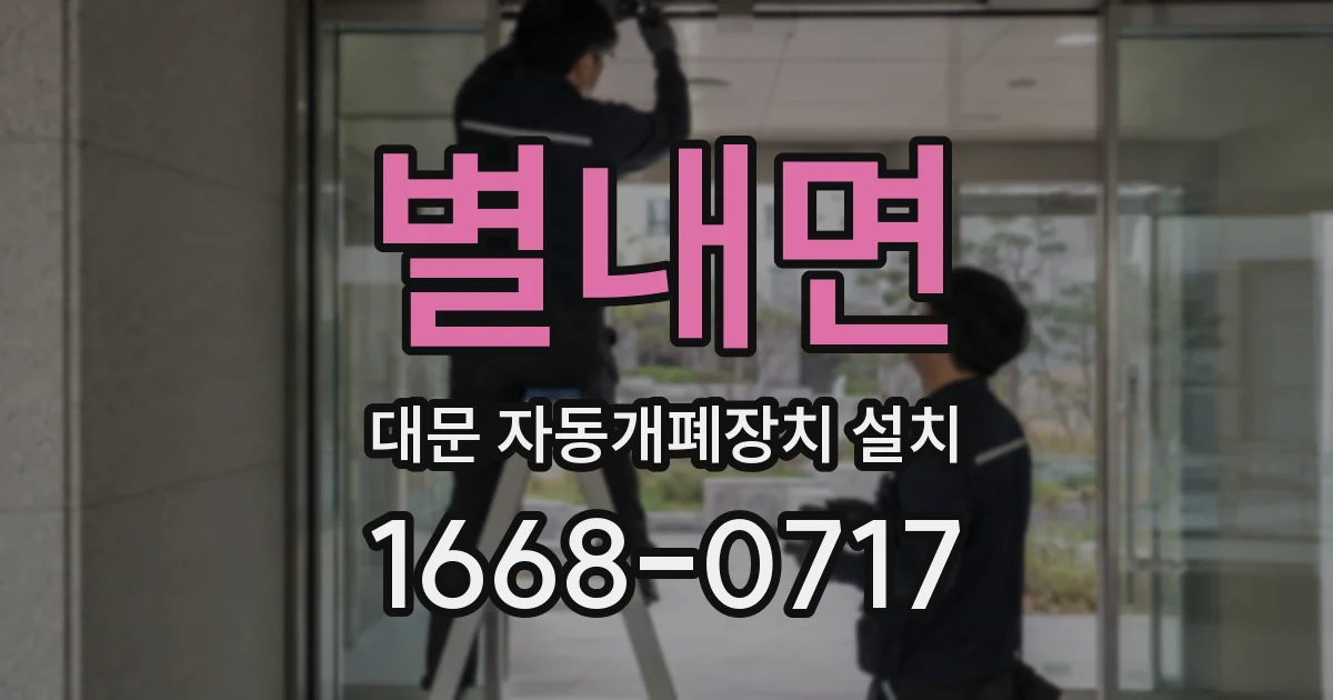 별내면 대문 자동개폐장치 설치