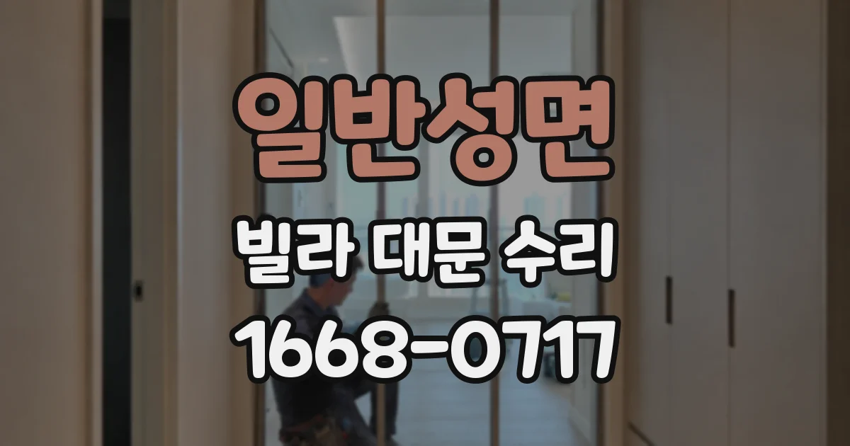 일반성면 빌라 대문 수리