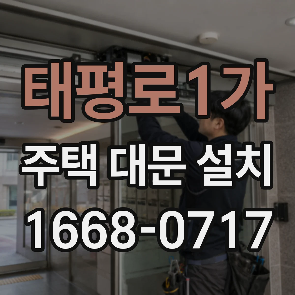 태평로1가 주택 대문 설치