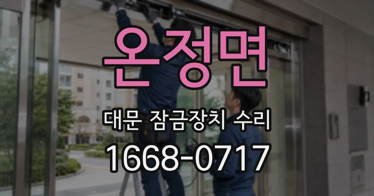온정면 대문 잠금장치 수리