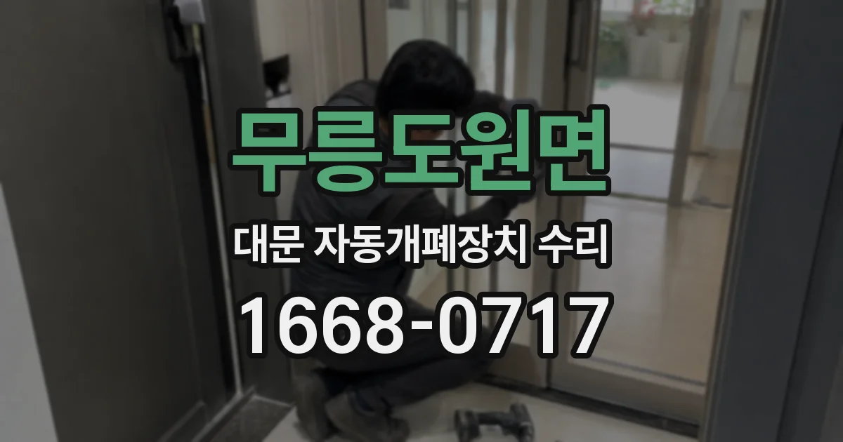 무릉도원면 대문 자동개폐장치 수리
