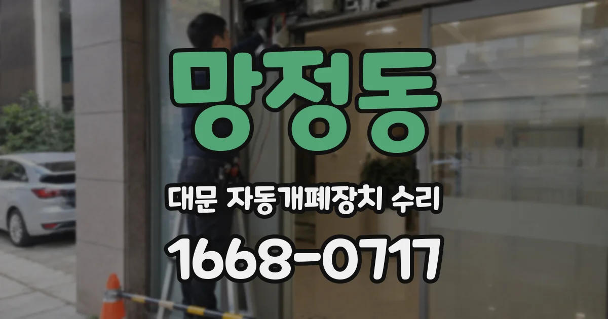 망정동 대문 자동개폐장치 수리