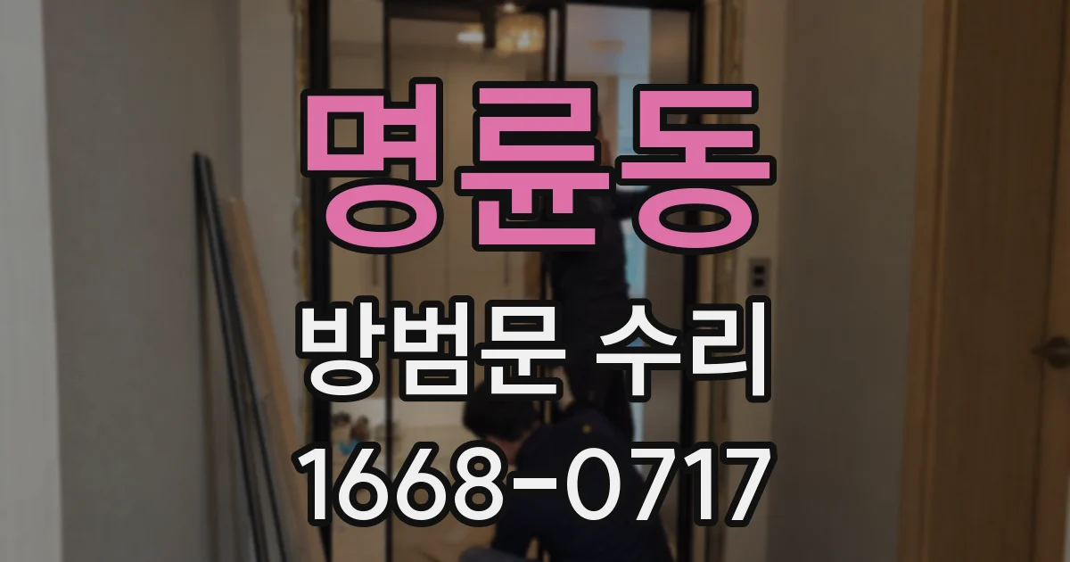 명륜동 방범문 수리