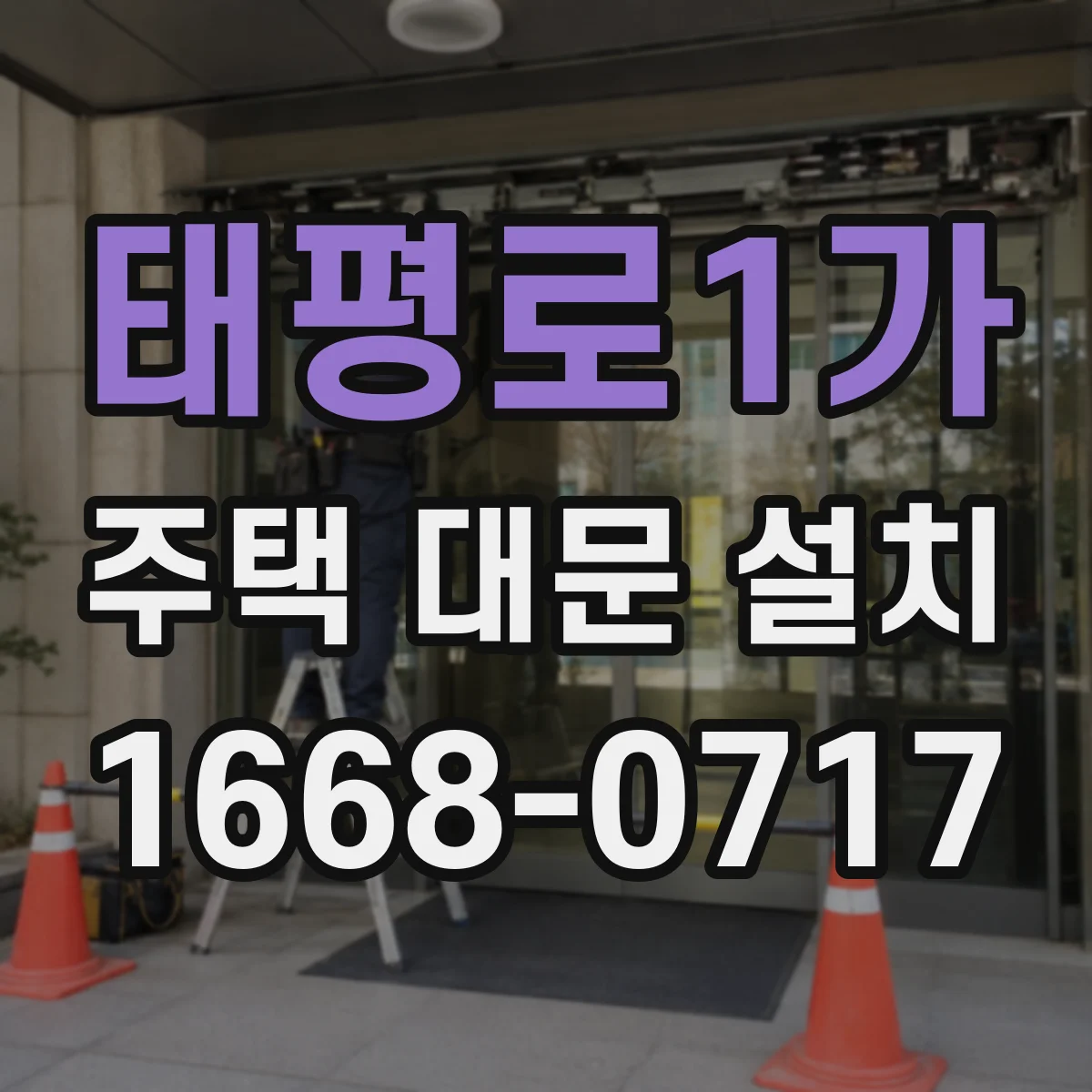 태평로1가 주택 대문 설치