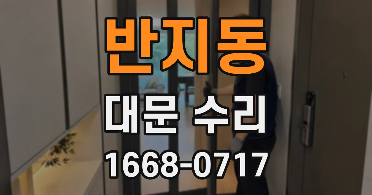 반지동 대문 수리