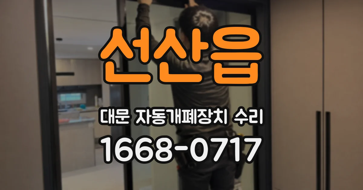 선산읍 대문 자동개폐장치 수리