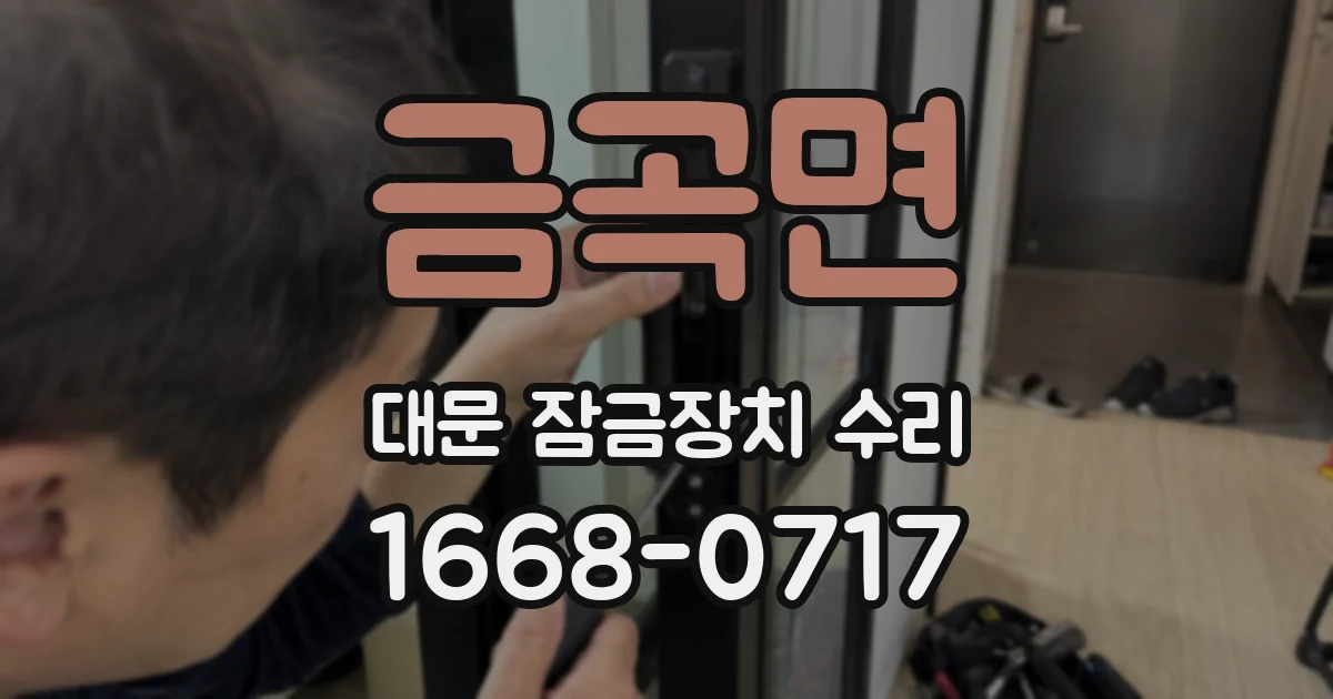 금곡면 대문 잠금장치 수리