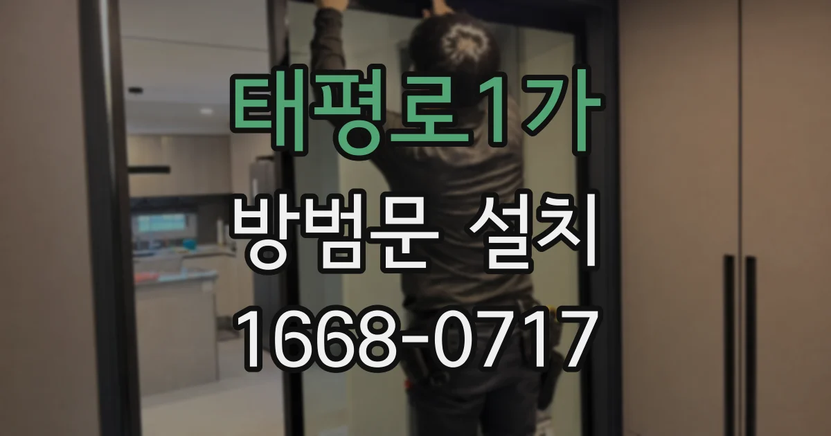 태평로1가 방범문 설치