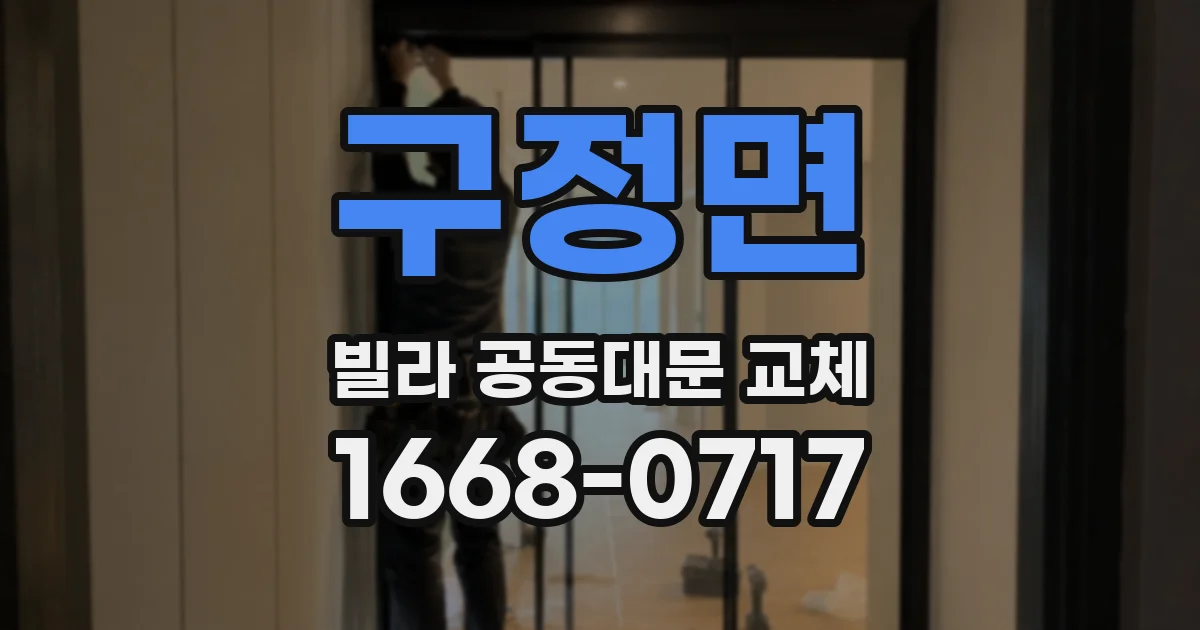구정면 빌라 공동대문 교체