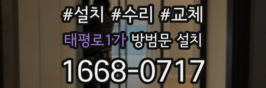 태평로1가 방범문 설치