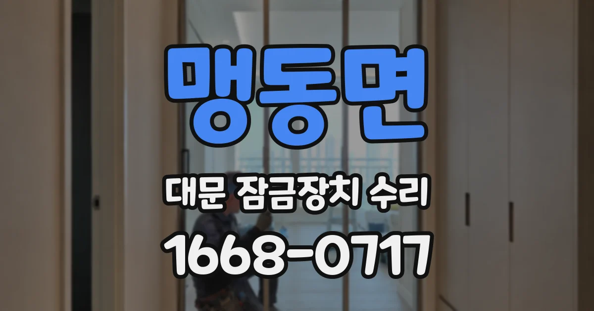 맹동면 대문 잠금장치 수리