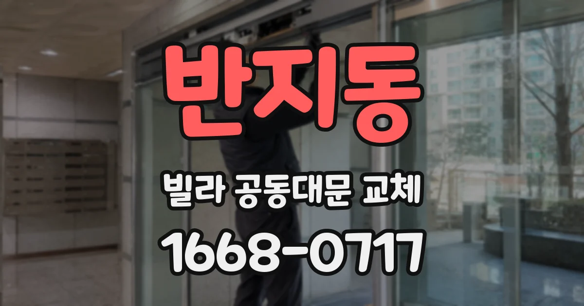 반지동 빌라 공동대문 교체