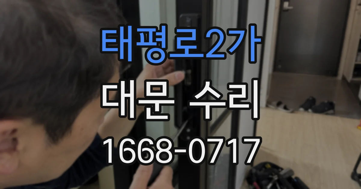 태평로2가 대문 수리