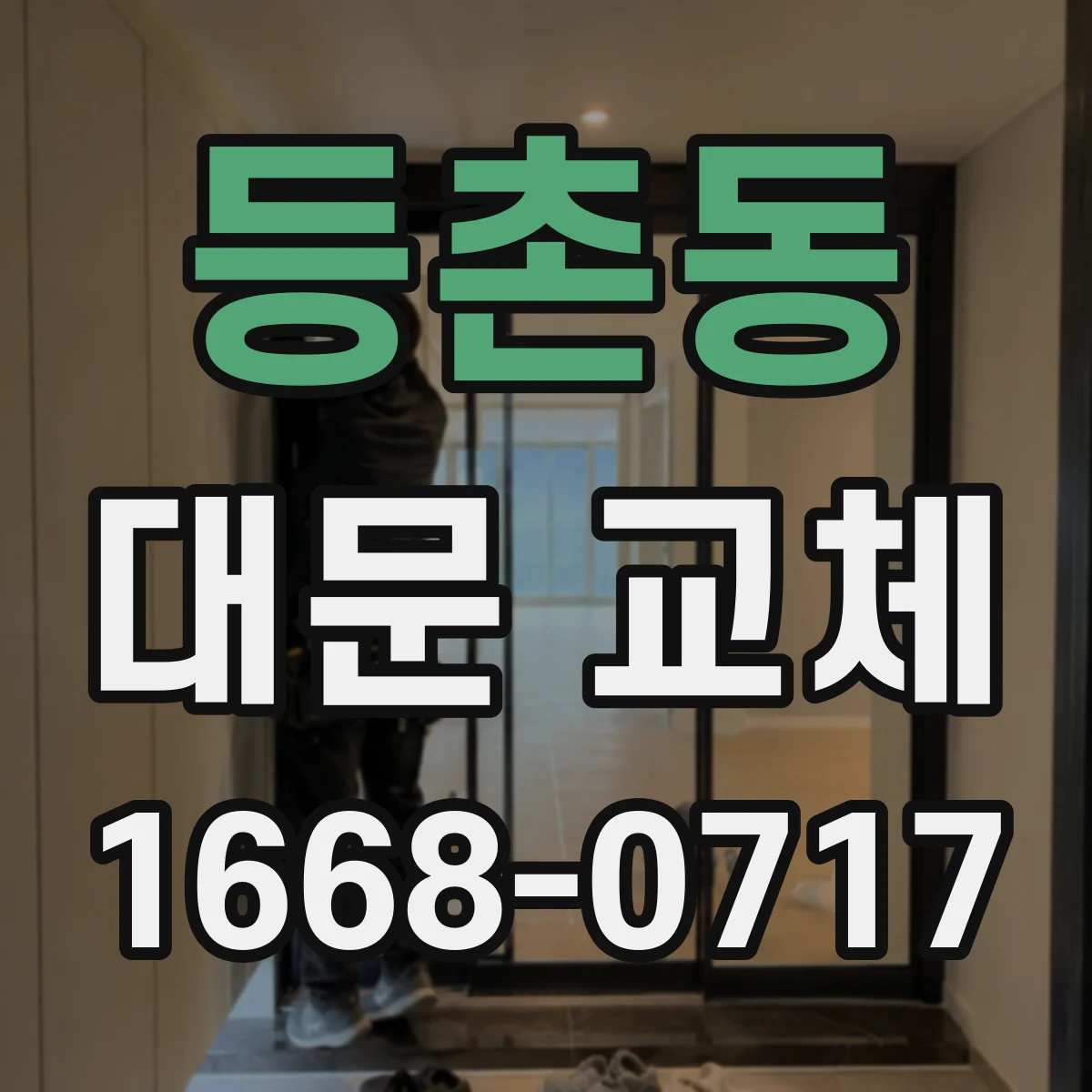 등촌동 대문 교체