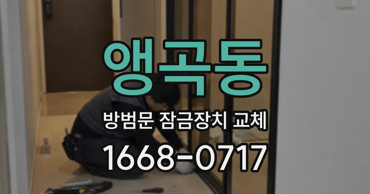 앵곡동 방범문 잠금장치 교체