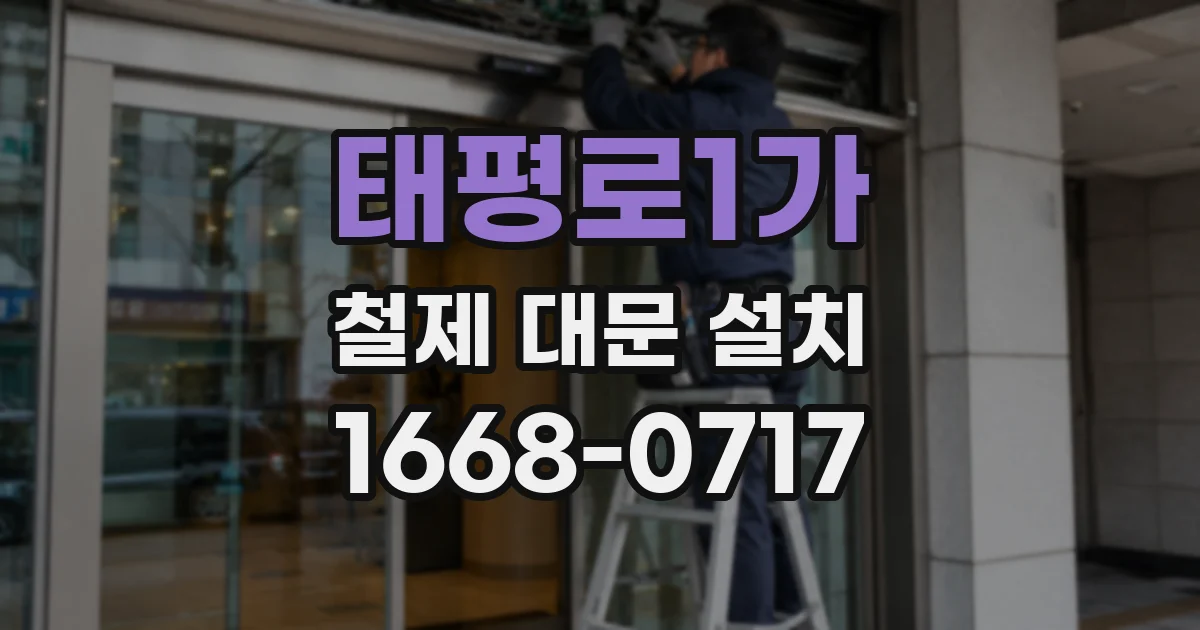 태평로1가 철제 대문 설치