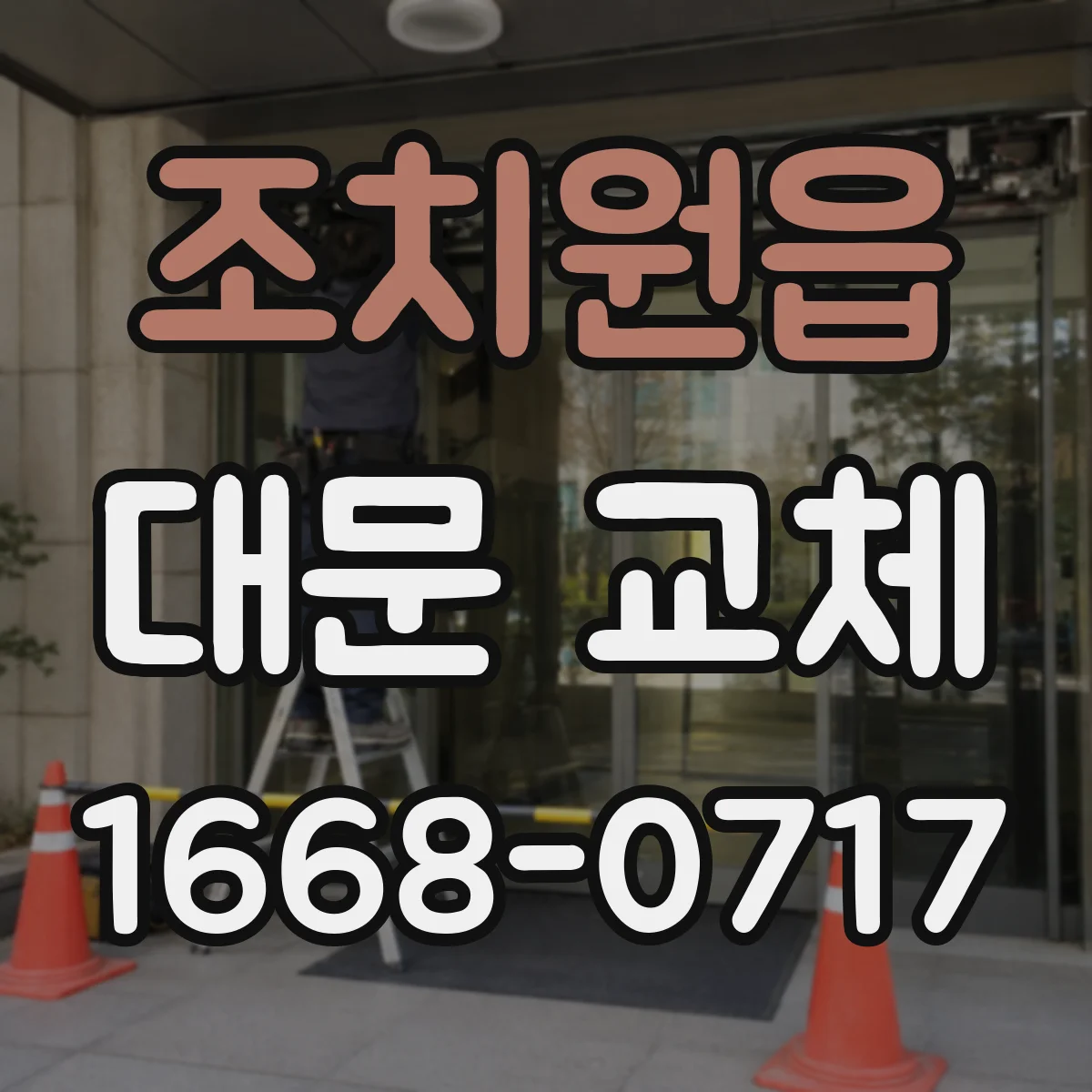 조치원읍 대문 교체