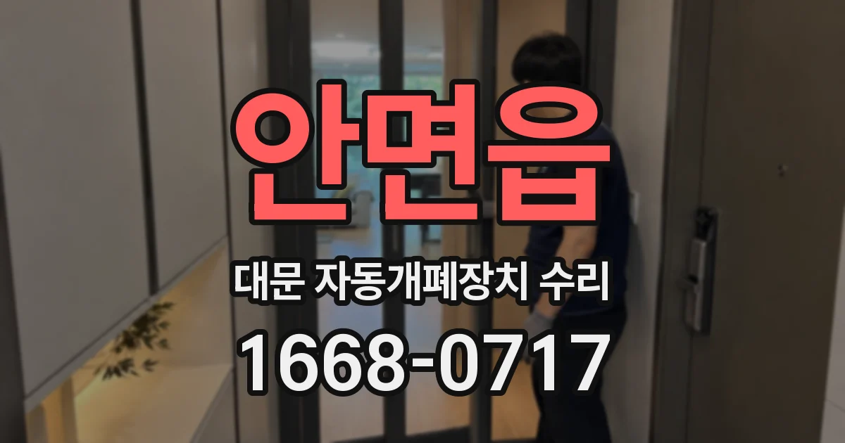 안면읍 대문 자동개폐장치 수리