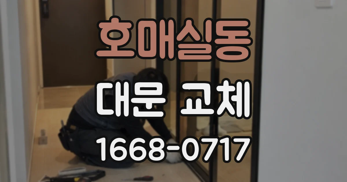 호매실동 대문 교체