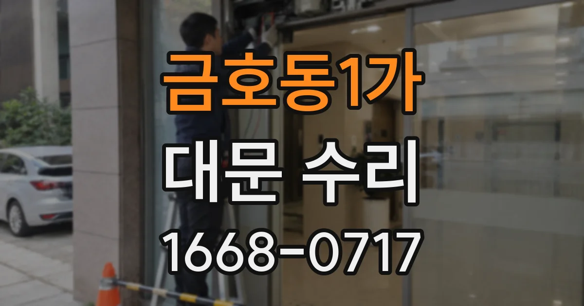 금호동1가 대문 수리